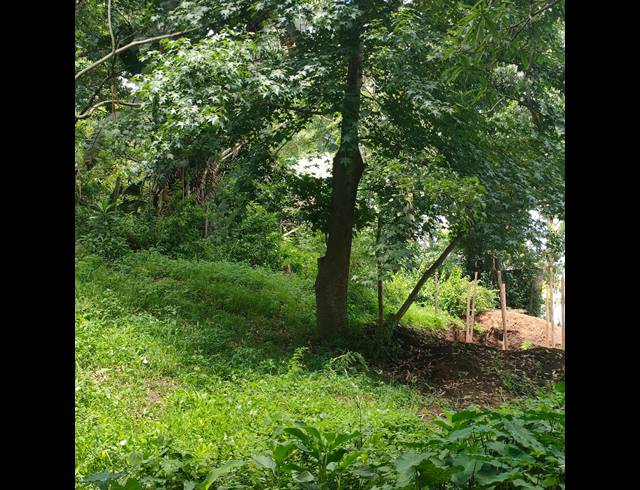 6,000M² VACANT LAND FOR SALE IN CLIFTON PARK